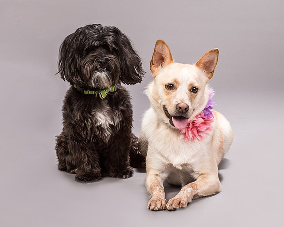 Maggie and Henry-7341