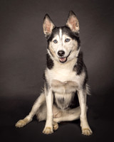 Bella-2405