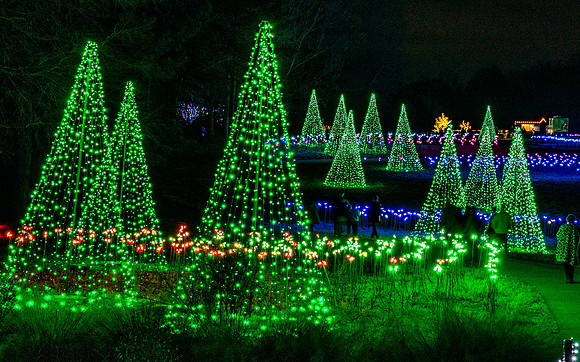 Christmas-2770