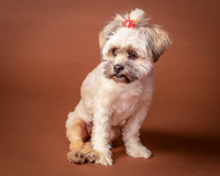 Foster Frida-9745