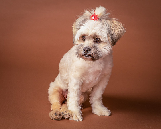 Foster Frida-9745