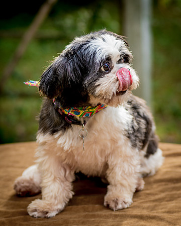 Foster Catlin-8995