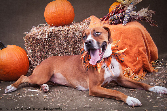 Foster Betsy-7551