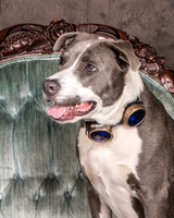 Foster Juliana-8043