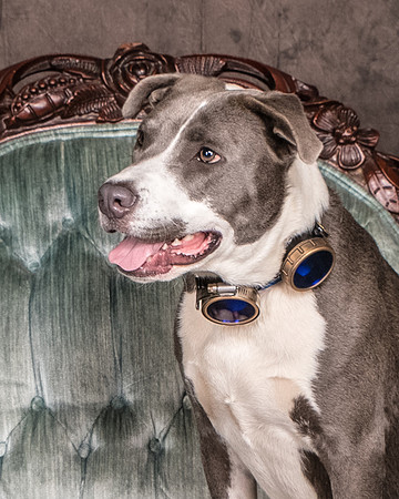 Foster Juliana-8043