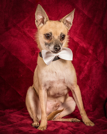 Foster Kiwi-8609
