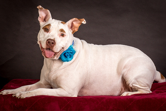 Foster Joanie-0472