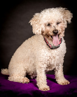 Foster Mae-8946