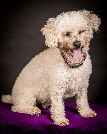 Foster Mae-8946