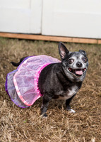 2015Oct24_5987