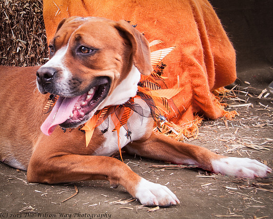 Foster Betsy-7555