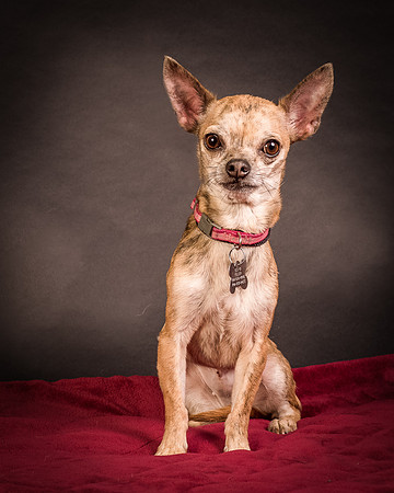 Foster Selina-1061