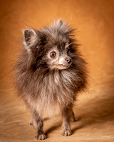 Foster Loretta-1258