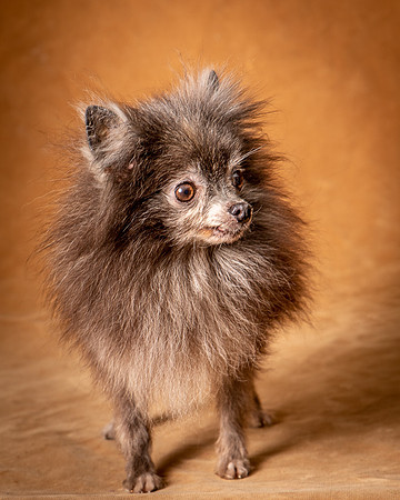 Foster Loretta-1258