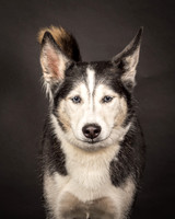Bella-2428