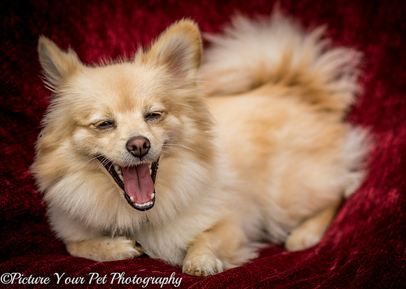 Foster Shirley-6112