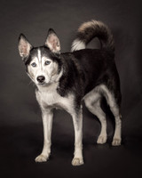 Bella-2408