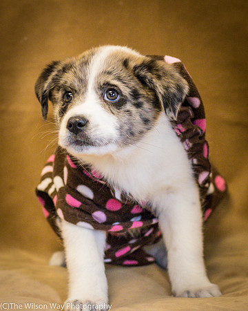Foster Mira Jane-0282