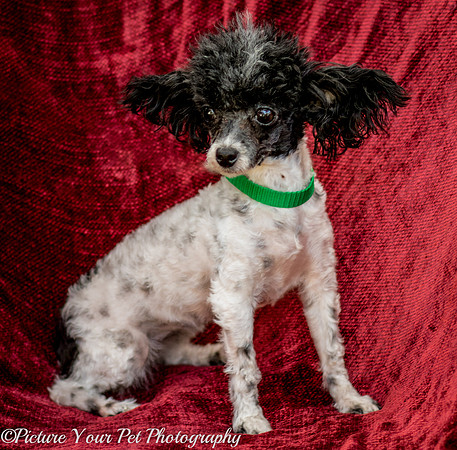 Foster Lillian-2