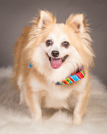 Foster Lilly-3394