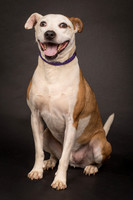 Foster Bowie-1245