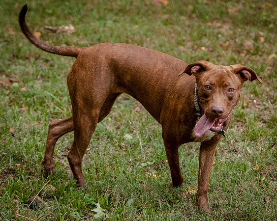 Foster Caitlyn4907
