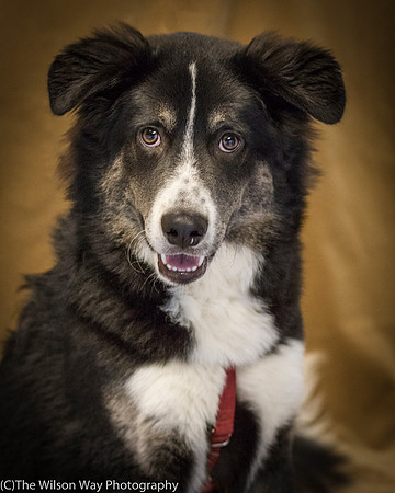 Foster Salty-0629