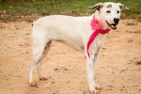 Carley-1129