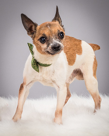 Foster Newman-3694