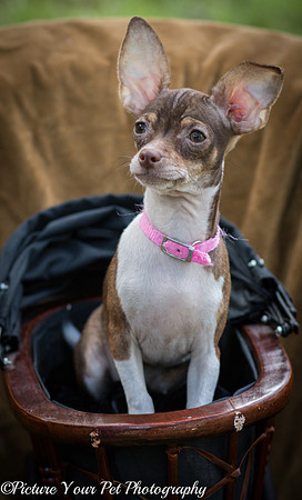 Foster Joanie-3791