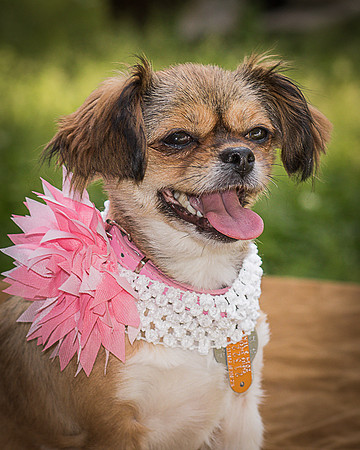 Foster Missy-0541