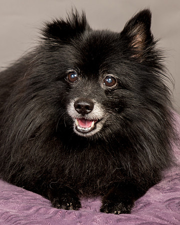 Foster Wayne-8318