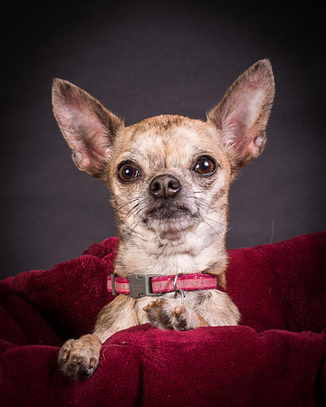 Foster Selina-1133