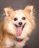 Foster Lilly-3235