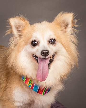 Foster Lilly-3235