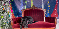 Foster Beatrice-3972