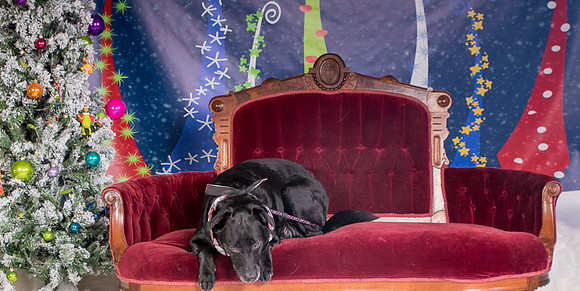 Foster Beatrice-3972