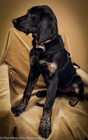 Foster Clementine-1324