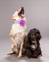 Maggie and Henry-7173