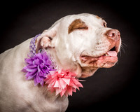 Foster Joanie-0405