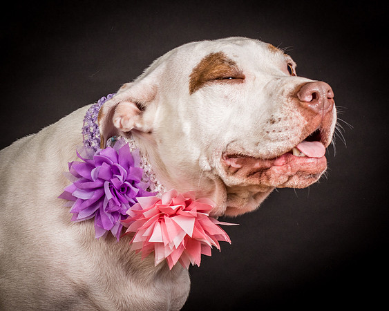 Foster Joanie-0405