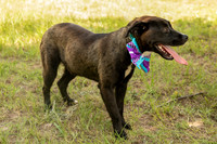 Darlington -Melanie-9406
