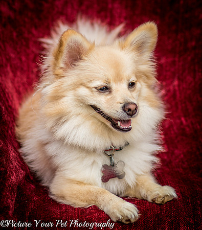 Foster Shirley-6132