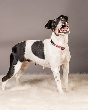 Foster Pollyanna-3925