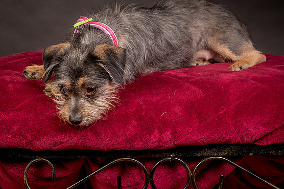 Foster Nadine-9620