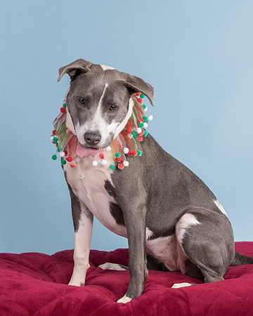 Foster Juliana-8083