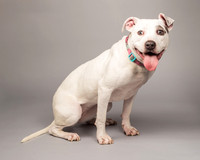 Foster Okra-1489