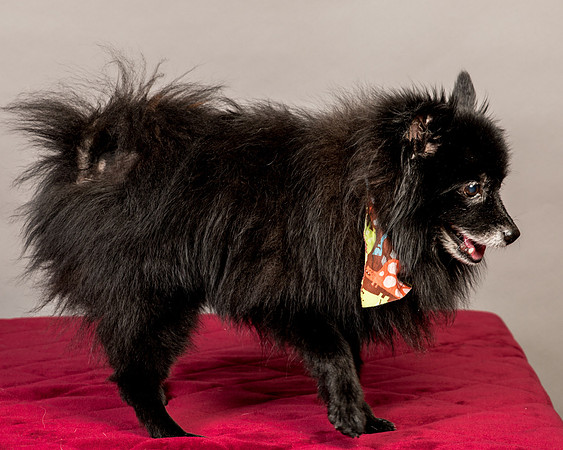 Foster Wayne-7892