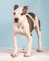 Foster Luna-4683