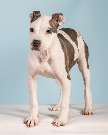 Foster Luna-4683